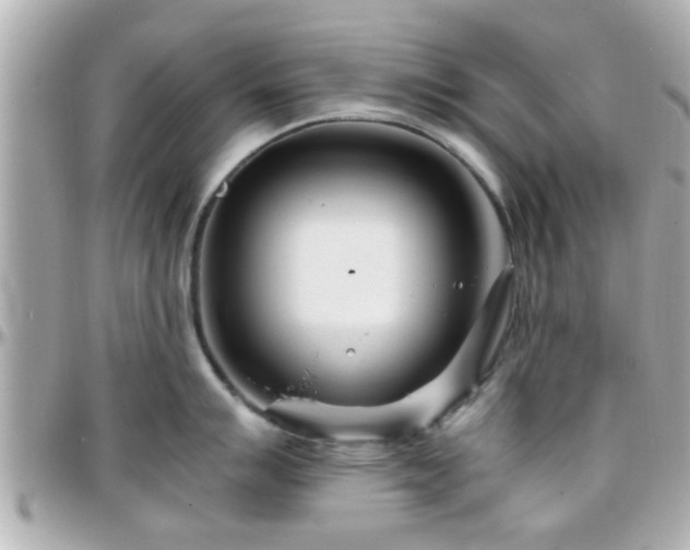 X0000096201007200801251008