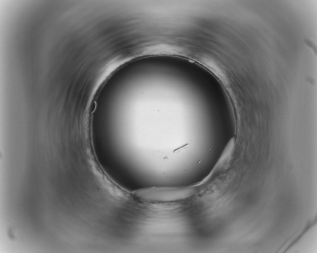 X0000096201008200801251008