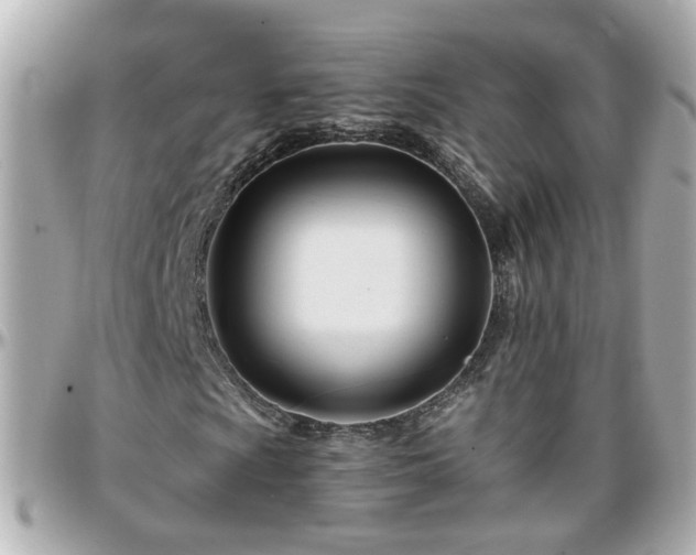 X0000096201009200801251008