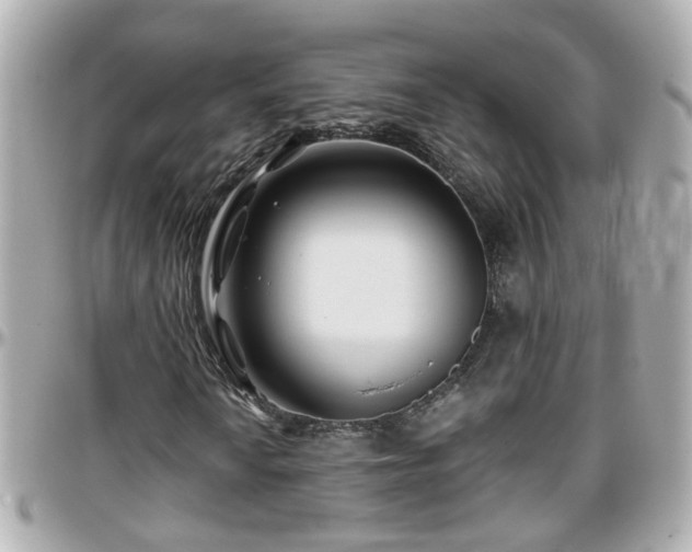 X0000096201010200801251008