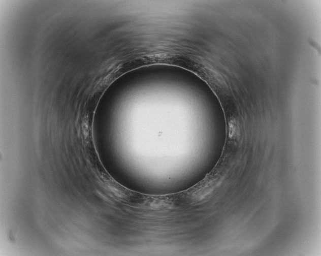 X0000096201011200801251008