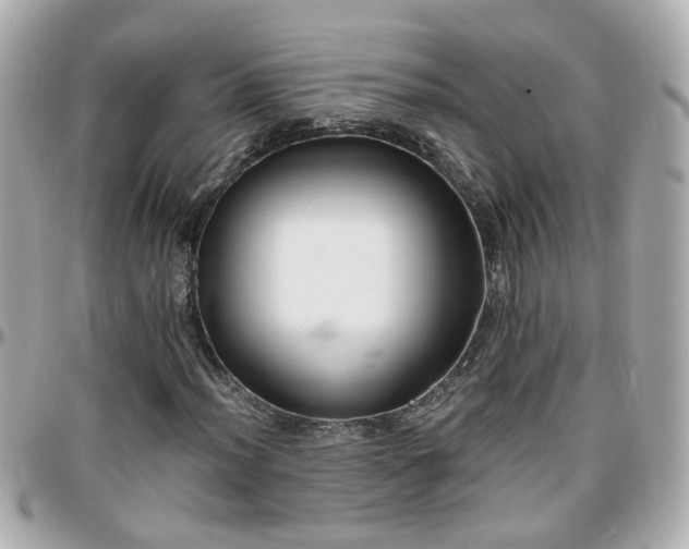 X0000096201012200801251008