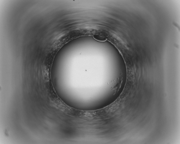 X0000096201013200801251008