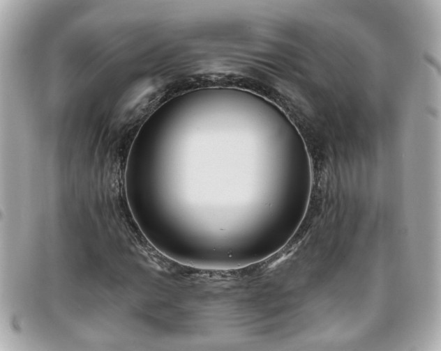 X0000096201014200801251008