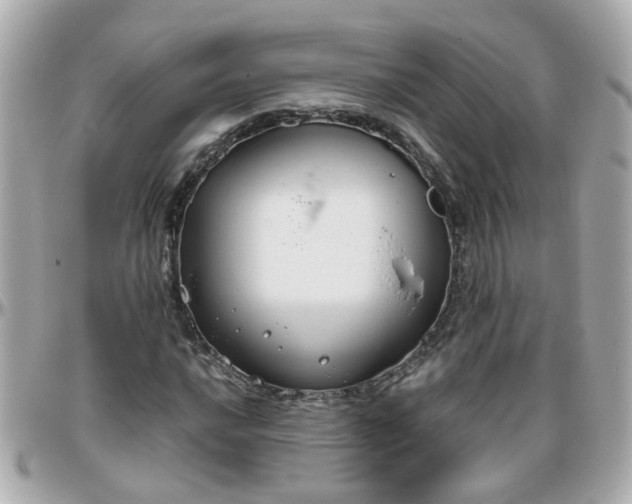 X0000096201016200801251008