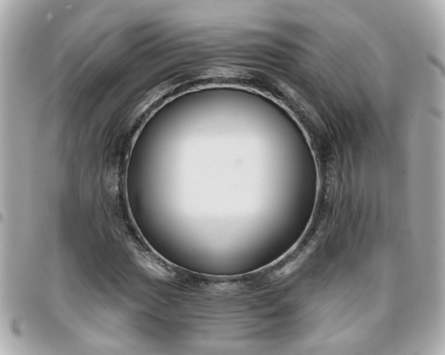 X0000096201017200801251008