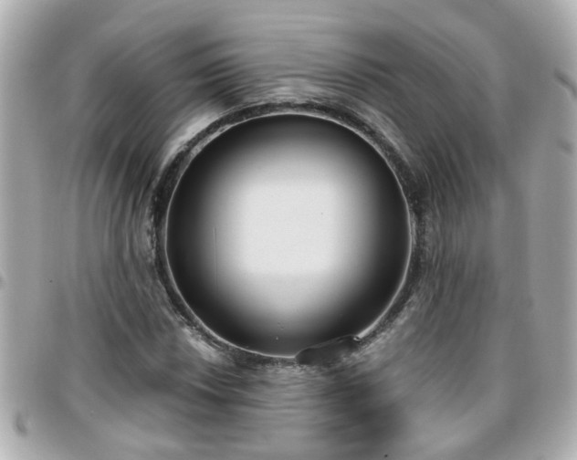 X0000096201018200801251008
