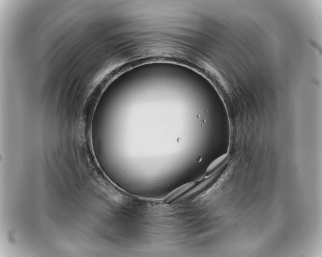 X0000096201019200801251008