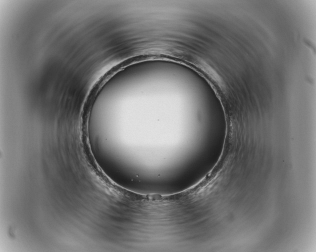 X0000096201020200801251008