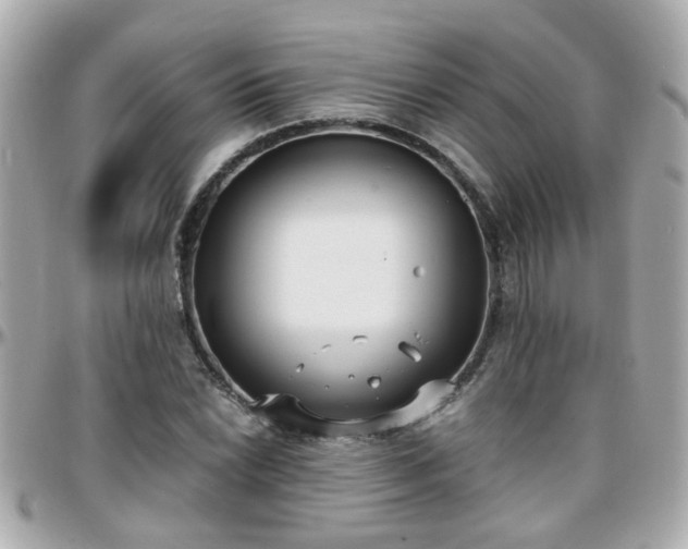 X0000096201022200801251008