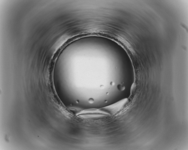 X0000096201023200801251008