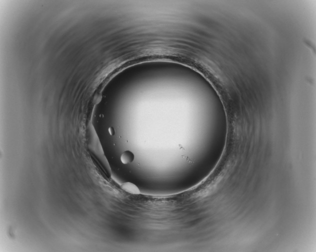 X0000096201025200801251008