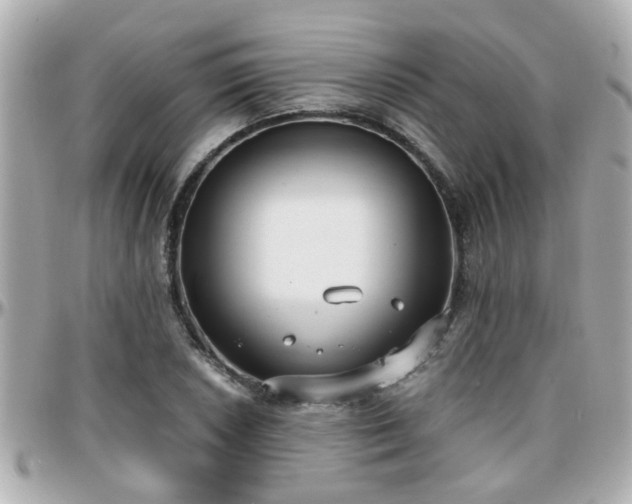X0000096201026200801251008