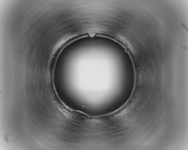 X0000096201027200801251008