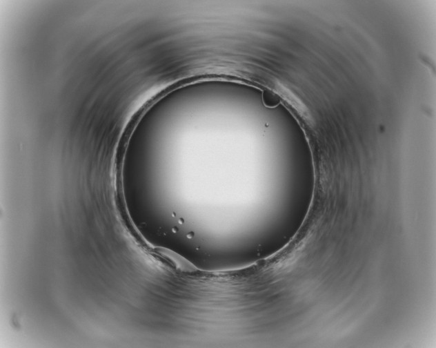 X0000096201028200801251008