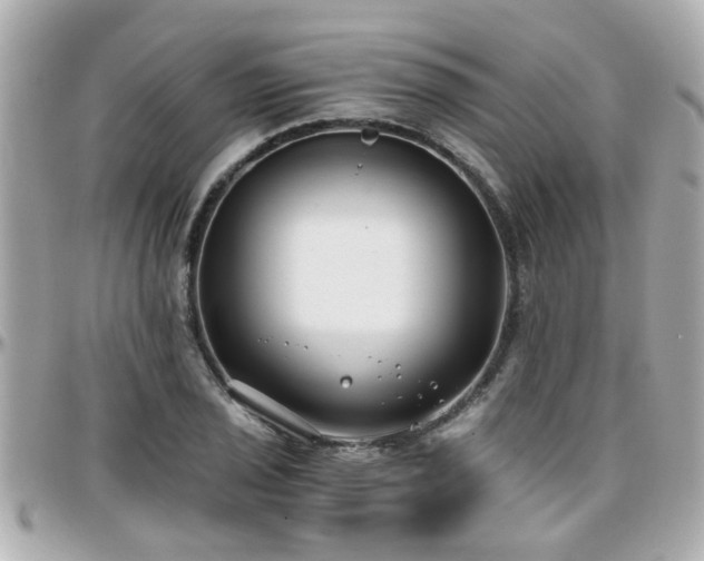 X0000096201029200801251008