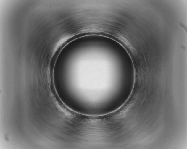 X0000096201030200801251008