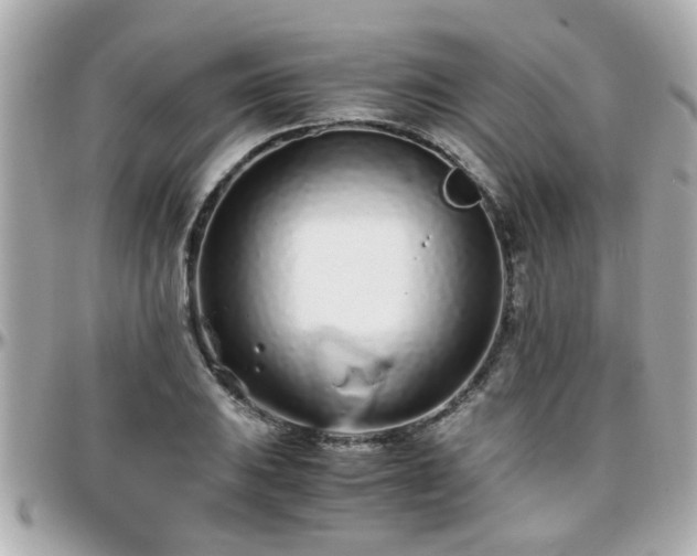 X0000096201031200801251008