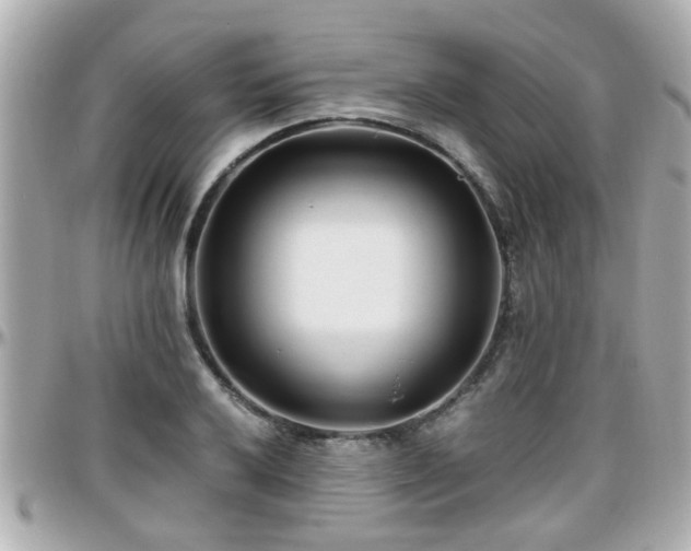 X0000096201032200801251008