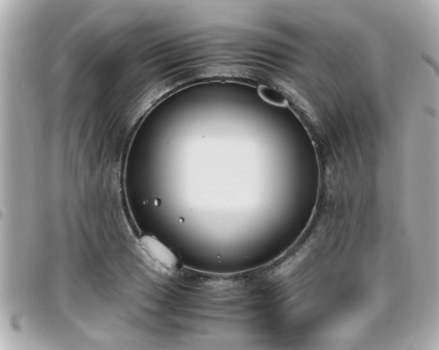 X0000096201033200801251008