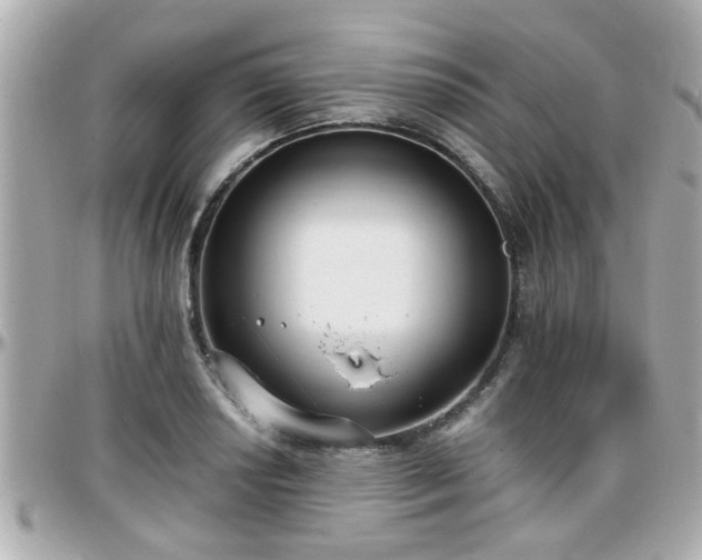 X0000096201034200801251008