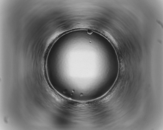 X0000096201035200801251008