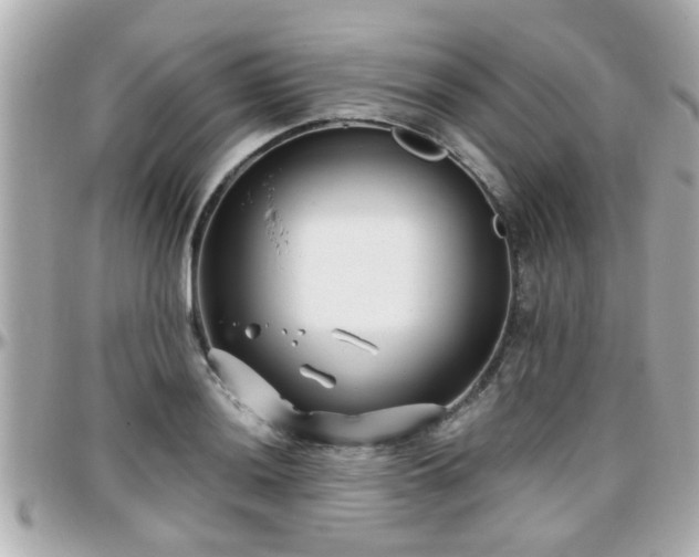 X0000096201036200801251008