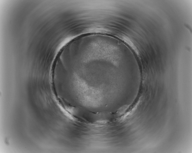 X0000096201037200801251008