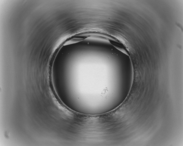 X0000096201038200801251008