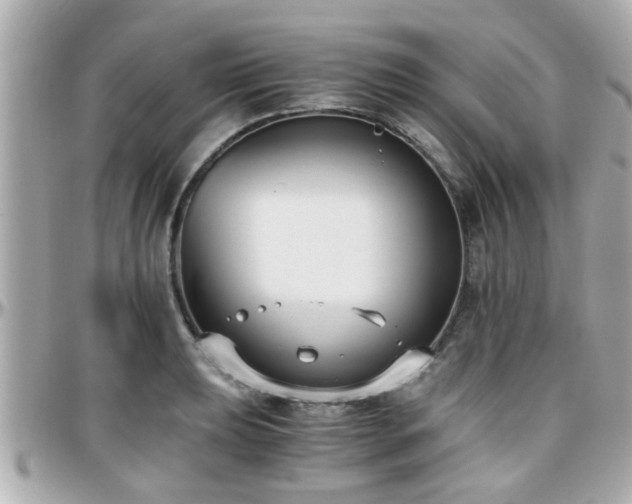 X0000096201039200801251008