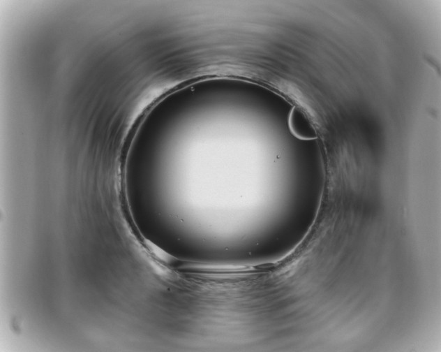 X0000096201040200801251008