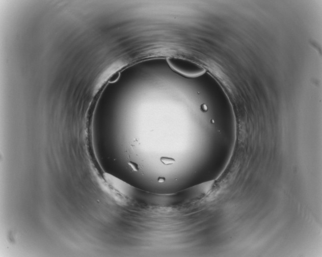 X0000096201042200801251008