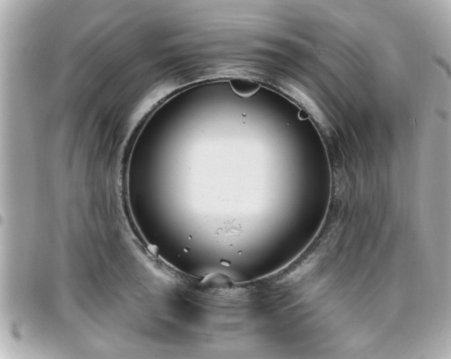 X0000096201043200801251008