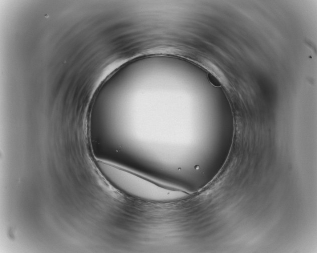 X0000096201044200801251008