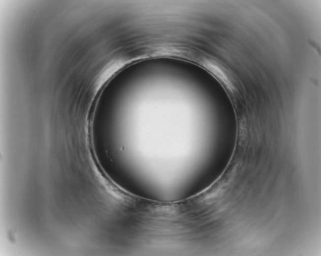 X0000096201047200801251008
