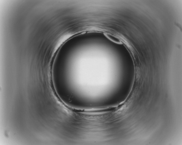 X0000096201048200801251008