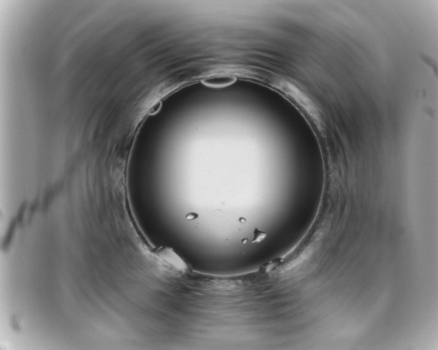 X0000096201049200801251008