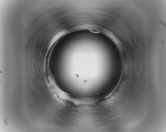 X0000096201050200801251008
