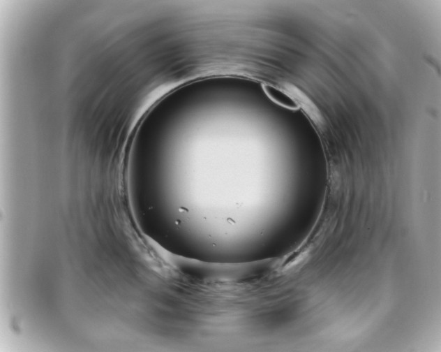 X0000096201052200801251008