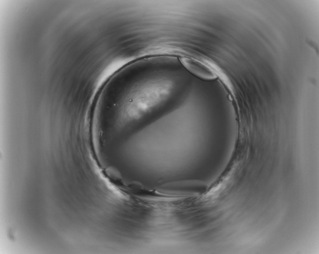 X0000096201053200801251008