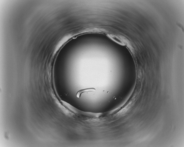 X0000096201054200801251008