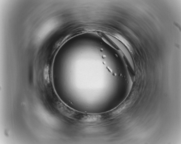 X0000096201055200801251008