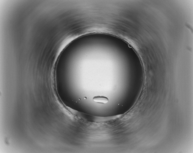X0000096201056200801251008