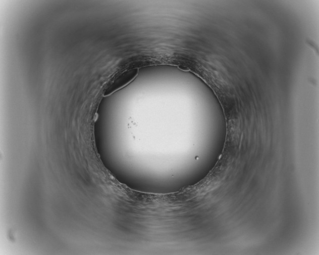 X0000096201057200801251008
