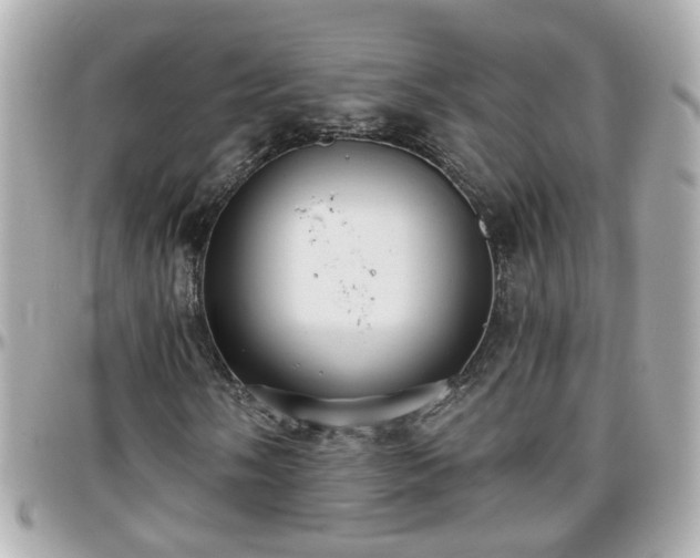 X0000096201058200801251008
