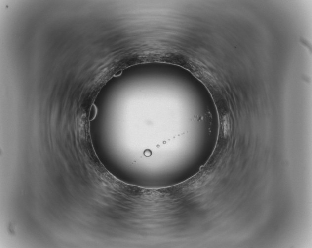 X0000096201059200801251008
