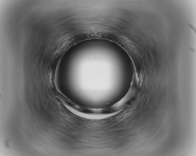 X0000096201060200801251008