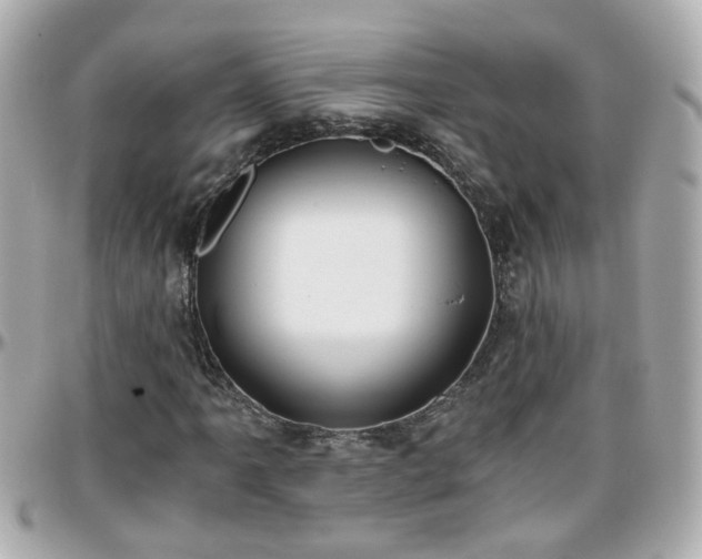 X0000096201061200801251008
