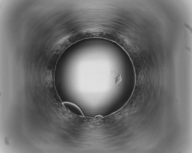 X0000096201062200801251008