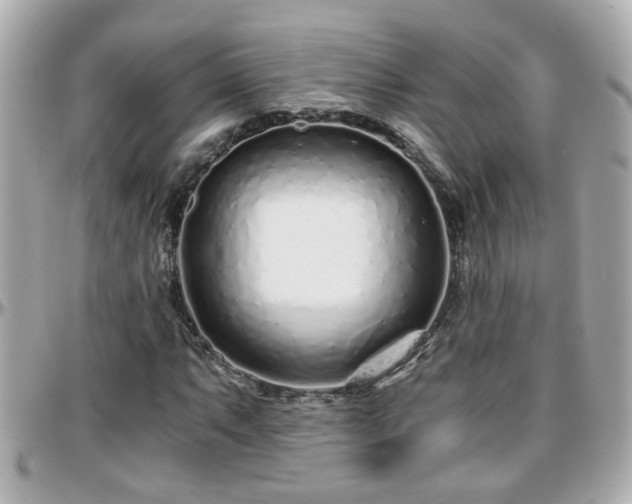 X0000096201063200801251008